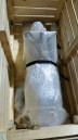IMG-20180309-WA0062